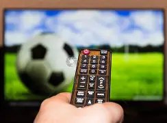 岁世界排名,运动员弃俄,投澳,开云官网,开云体育,开云全站,开云入口,开云代理